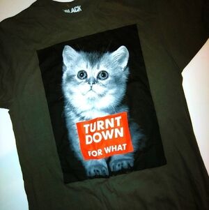 Kitty Cat Turnt Down For What T-Shirt L